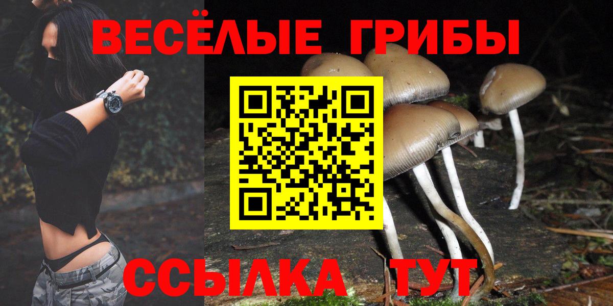 Псилоцибиновые грибы Cubensis  Вход с VPN  Видное 